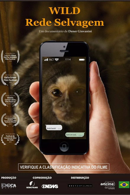 Wild – Rede Selvagem