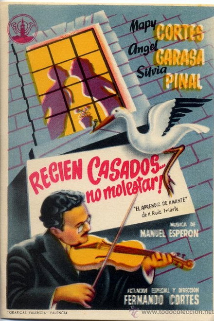 Recién casados... no molestar