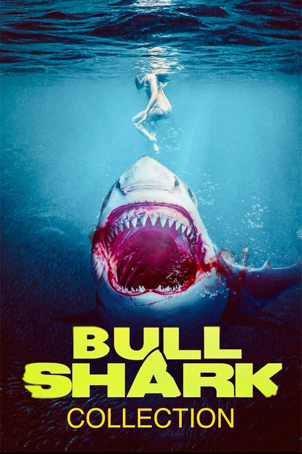 Bull Shark Collection