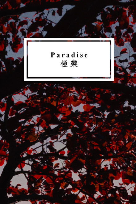 Paradise