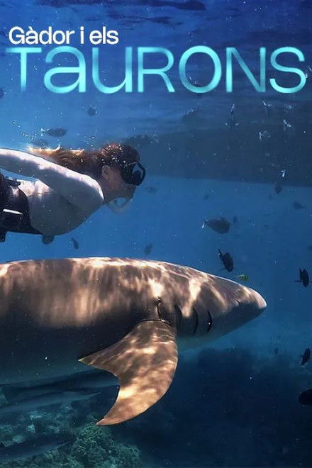 Gàdor i els taurons
