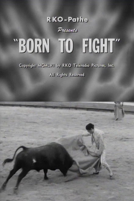 Born to Fight