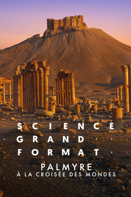 Palmyre, à la croisée des mondes