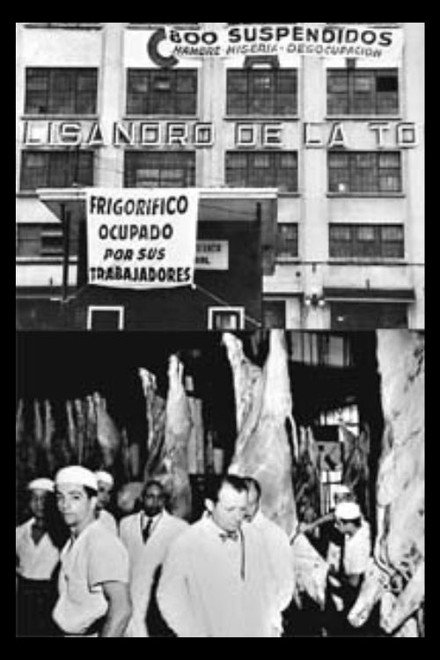 Carne Viva