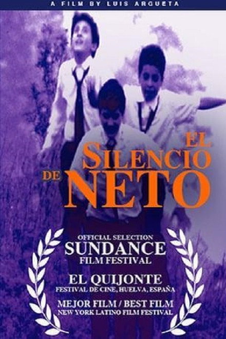 Los orígenes del silencio