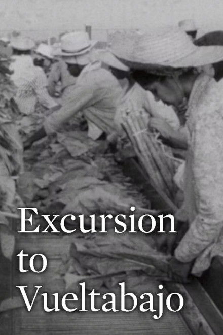 Excursion to Vueltabajo
