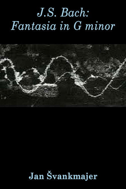 J.S. Bach: Fantasia in G minor