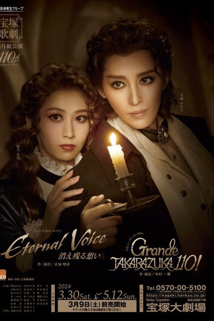 Eternal Voice: Lingering Feelings