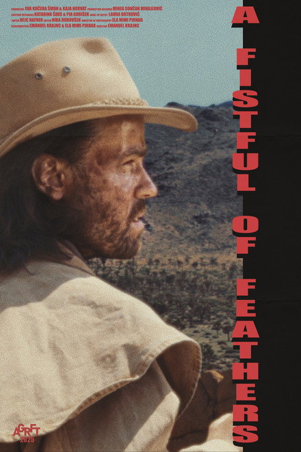A Fistful of Feathers