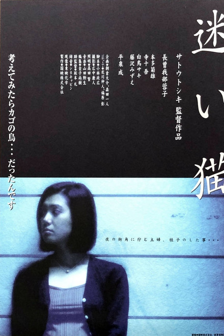 Apartment Wife: Lost Cat