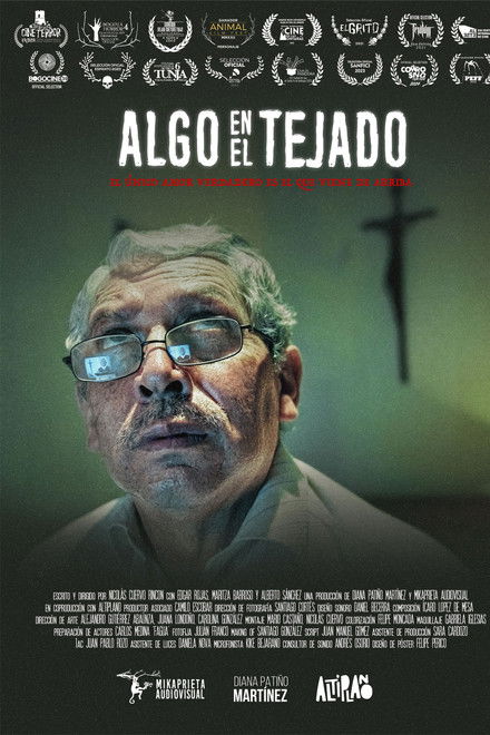 Something on the roof