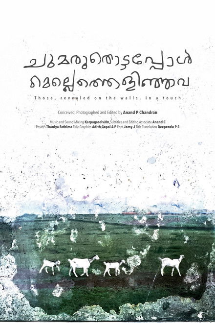 Those, revealed on the walls, in a touch