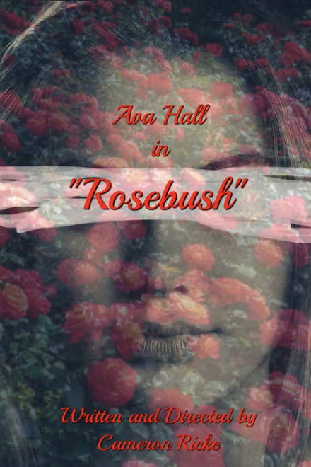 Rosebush