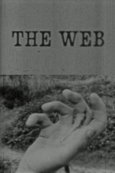 The Web