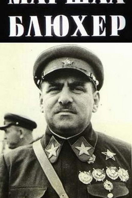 Marshal Blucher: A Portrait Against the Background of an Epoch