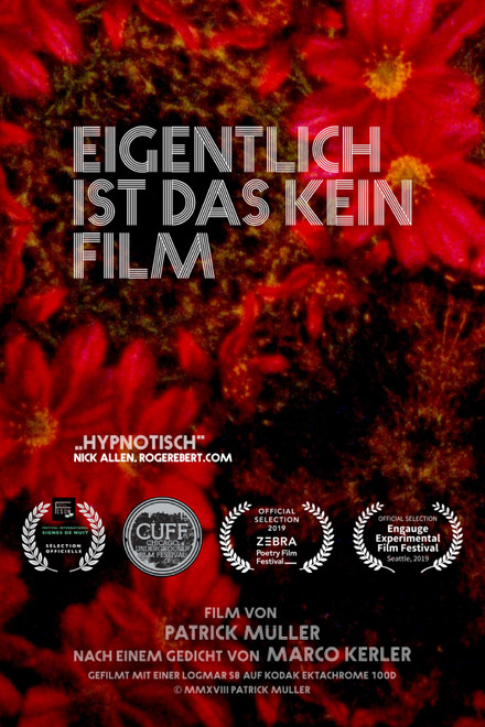 Actually, This Is Not a Film