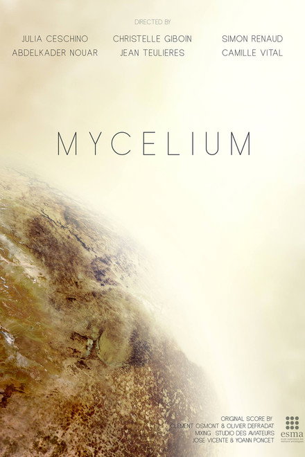 Mycelium