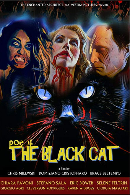 POE 4: The Black Cat