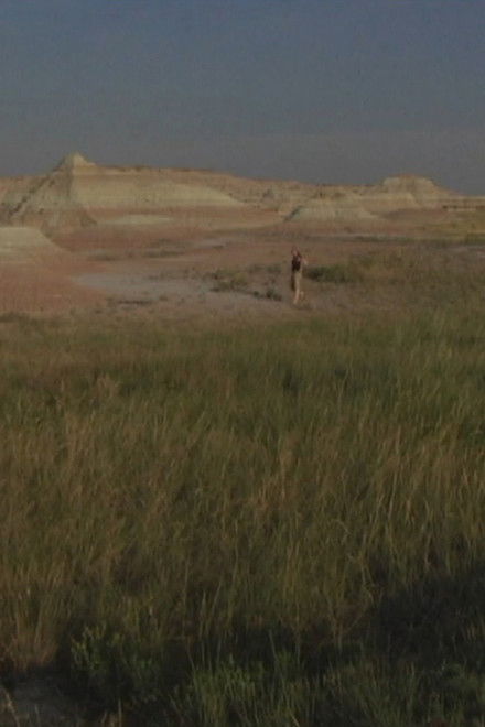 CIVIL WAR SURVEILLANCE POEMS (Part 1)