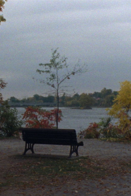 Je ne veux pas être devant la caméra