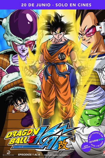 Dragon Ball Z Kai