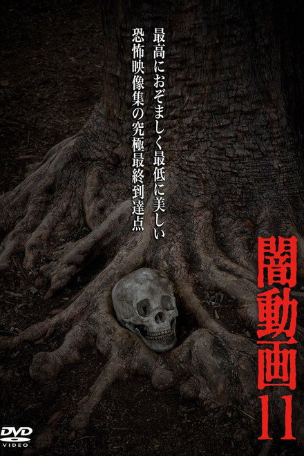 Tokyo Videos of Horror 11