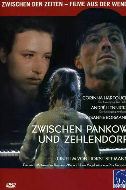 Zwischen Pankow und Zehlendorf