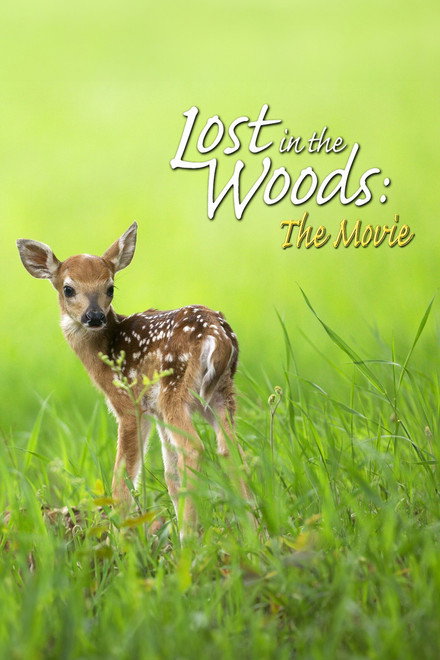 Lost in the Woods: The Movie