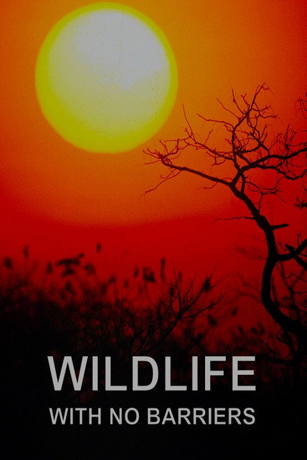 Wildlife With No Barriers