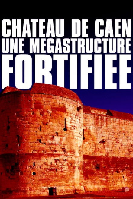 Château de Caen : Une mégastructure fortifiée