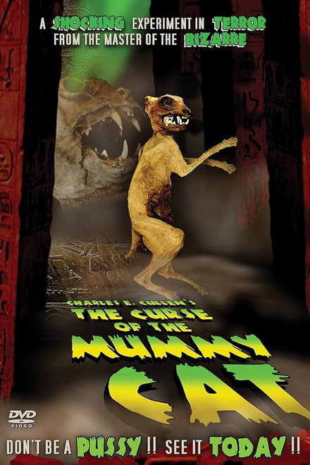 The Curse of the Mummy Cat