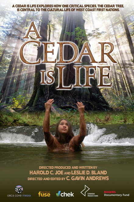 A Cedar Is Life