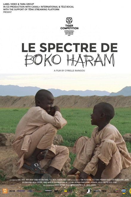 The Spectre of Boko Haram