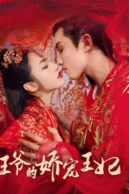 王爷的娇宠王妃