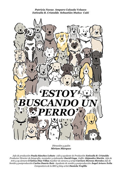 Estoy buscando un perro