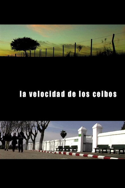 The Speed of the Ceibos