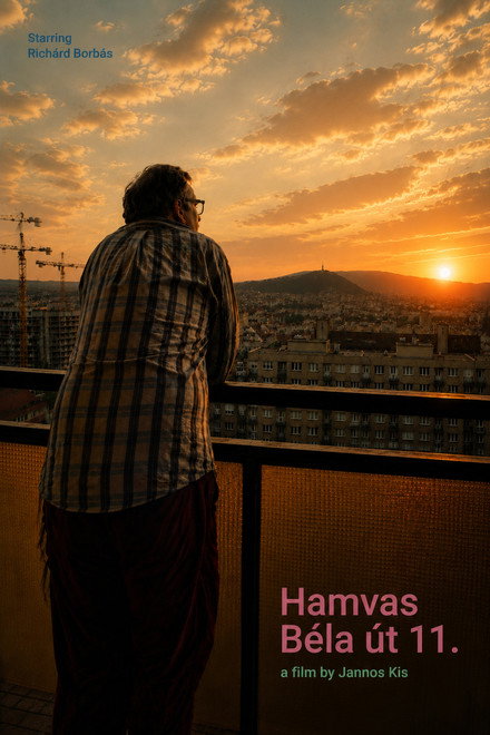 Hamvas Béla út 11.