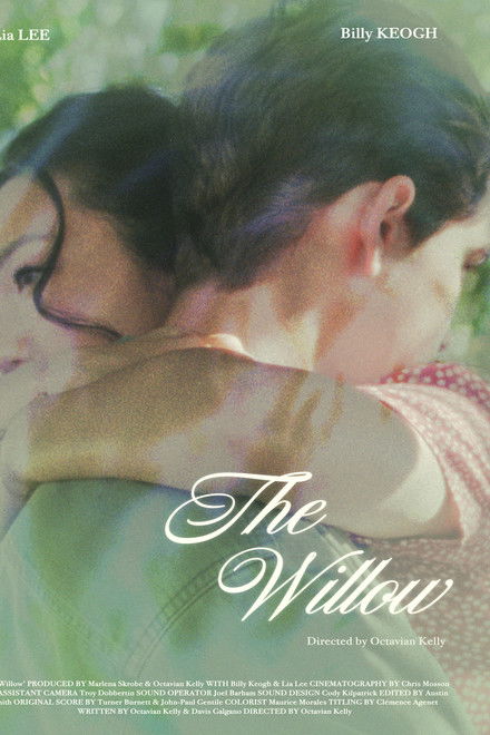 The Willow