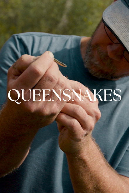 Queensnakes