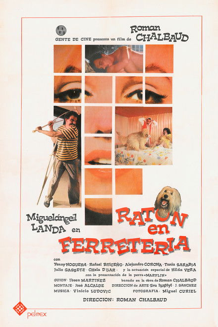 Ratón en Ferretería