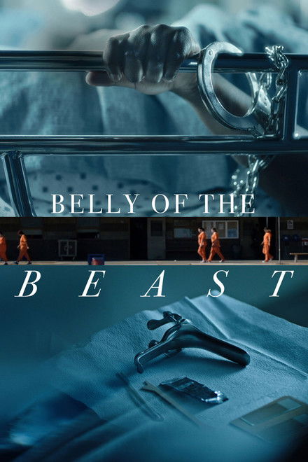 Belly of the Beast