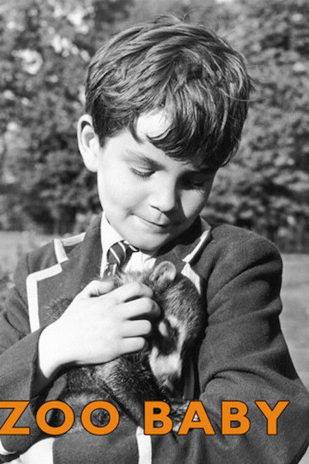 Zoo Baby