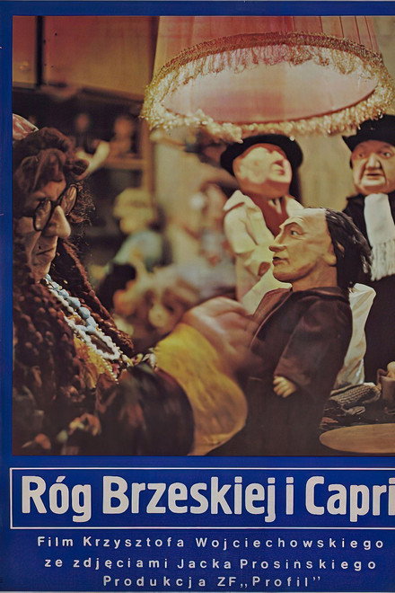 Róg Brzeskiej i Capri