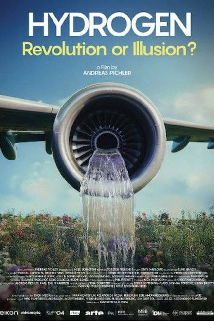 Hydrogen - Revolution or Illusion?