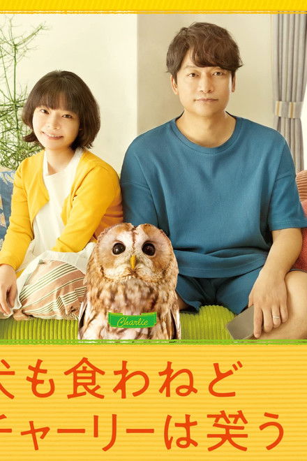 Everything Will Be Owlright!