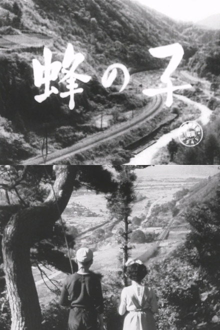 Hachi no ko