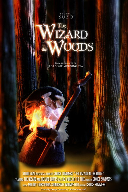 The Wizard in the Woods