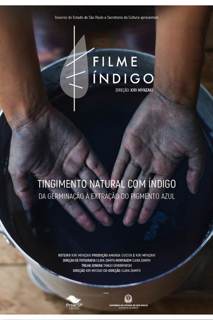Tingimento Natural com Índigo: Da Germinação À Extração do Pigmento Azul