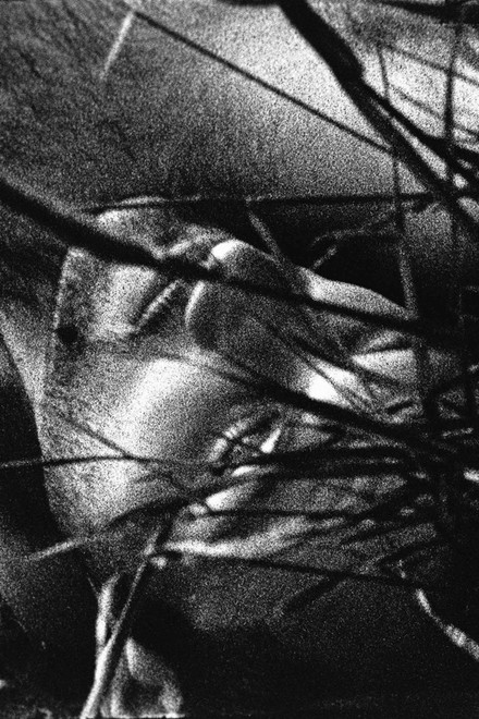 The Urine Crazed Corpse Catchers