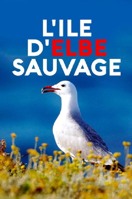 Wildes Elba
